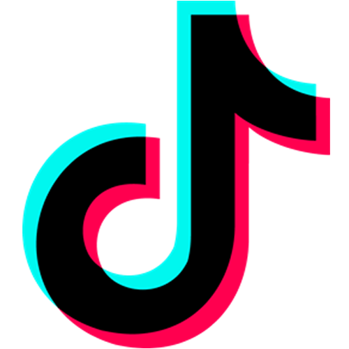 Twitter Logo
